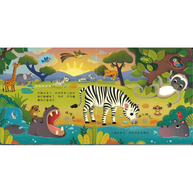 野生动物谁在吼 Usborne Sound Books Wild Animals 9787544883313 | Singapore Chinese Bookstore | Maha Yu Yi Pte Ltd