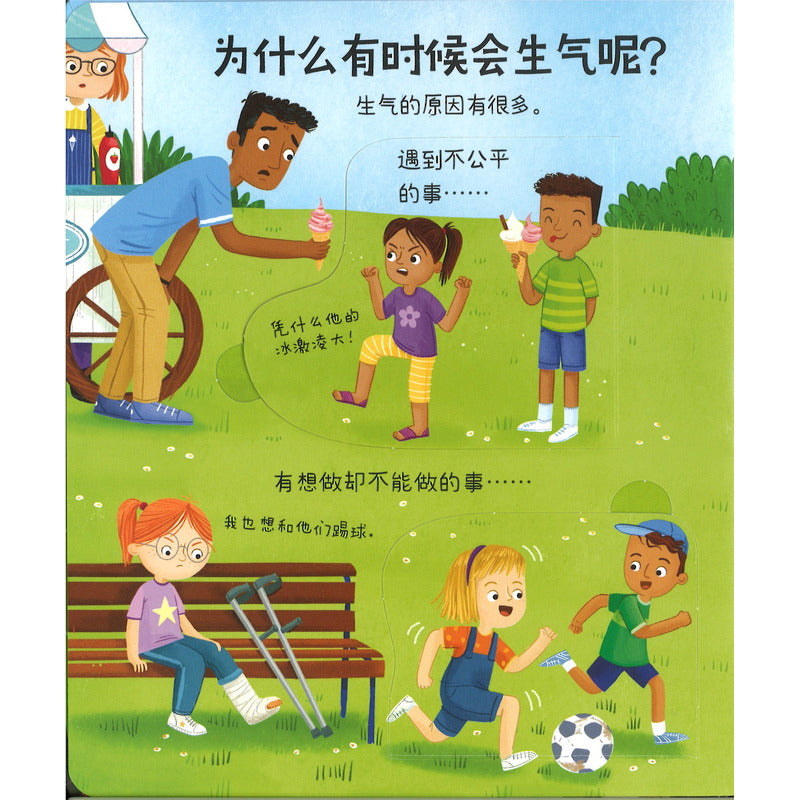 我的情绪问答书·不可以生气吗？ Lift-the-flap Very First Questions and Answers: Why do I (sometimes) Feel Angry? 9787544883702 | Singapore Chinese Bookstore | Maha Yu Yi Pte Ltd