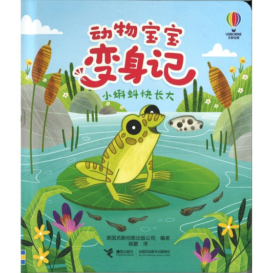 动物宝宝变身记·小蝌蚪快长大 Life Cycles: One Little Frog 9787544883740 | Singapore Chinese Bookstore | Maha Yu Yi Pte Ltd