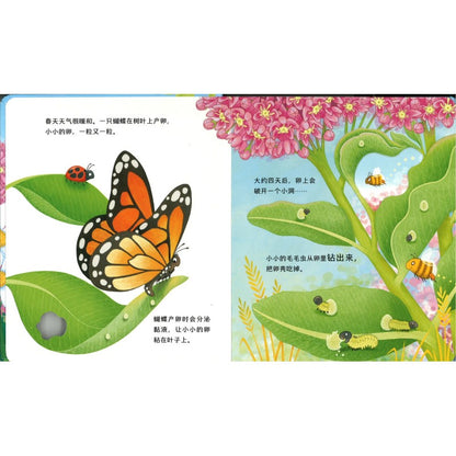 动物宝宝变身记·毛毛虫大变身 Life Cycles: One Little Butterfly 9787544883757 | Singapore Chinese Bookstore | Maha Yu Yi Pte Ltd