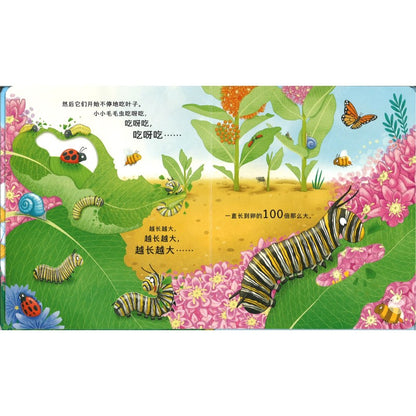 动物宝宝变身记·毛毛虫大变身 Life Cycles: One Little Butterfly 9787544883757 | Singapore Chinese Bookstore | Maha Yu Yi Pte Ltd