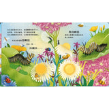 动物宝宝变身记·毛毛虫大变身 Life Cycles: One Little Butterfly 9787544883757 | Singapore Chinese Bookstore | Maha Yu Yi Pte Ltd