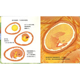动物宝宝变身记·鸡宝宝出壳啦 Life Cycles: One Little Chick 9787544883764 | Singapore Chinese Bookstore | Maha Yu Yi Pte Ltd