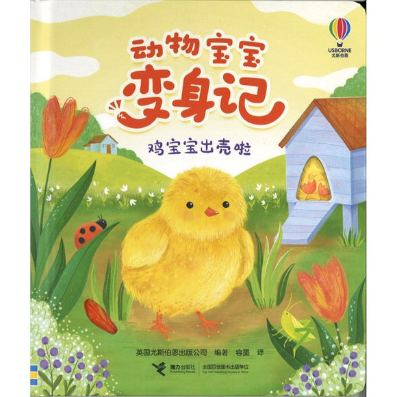 动物宝宝变身记·鸡宝宝出壳啦 Life Cycles: One Little Chick 9787544883764 | Singapore Chinese Bookstore | Maha Yu Yi Pte Ltd