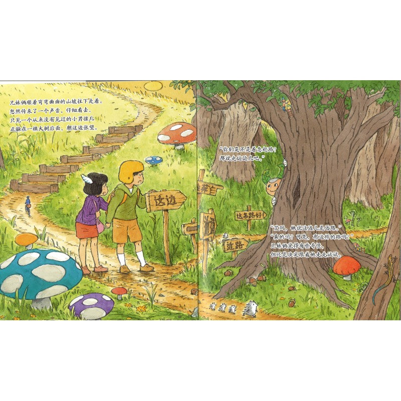 托玛和艾玛绘本系列：迷宫之城  9787551175463 | Singapore Chinese Bookstore | Maha Yu Yi Pte Ltd