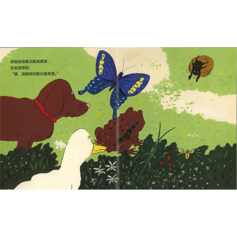 不滚粪球的屎壳郎  9787556282876 | Singapore Chinese Bookstore | Maha Yu Yi Pte Ltd