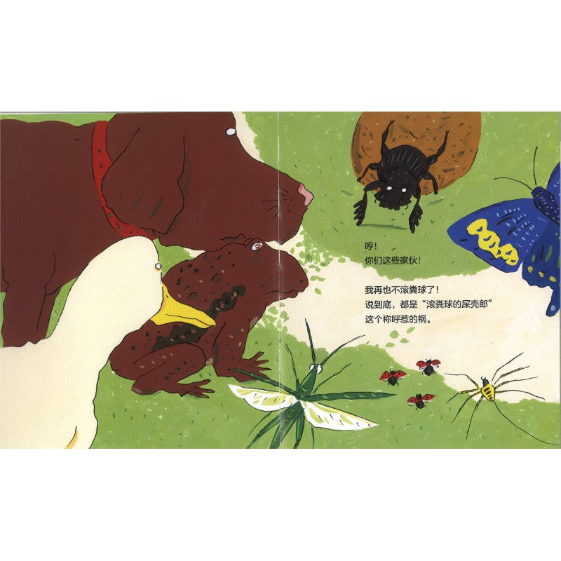 不滚粪球的屎壳郎  9787556282876 | Singapore Chinese Bookstore | Maha Yu Yi Pte Ltd