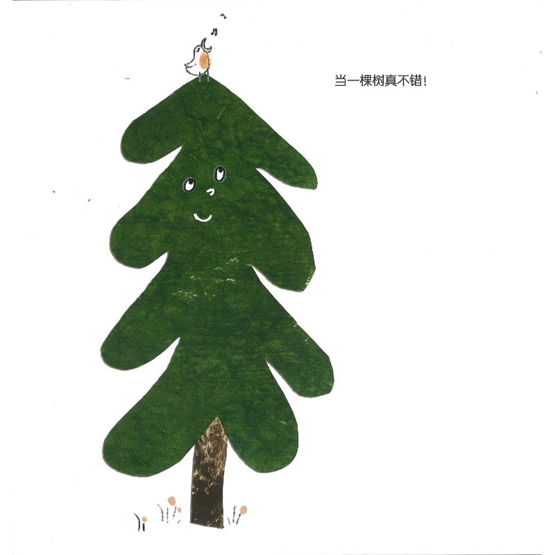 我是木木：一棵树的循环之旅  9787556887323 | Singapore Chinese Bookstore | Maha Yu Yi Pte Ltd