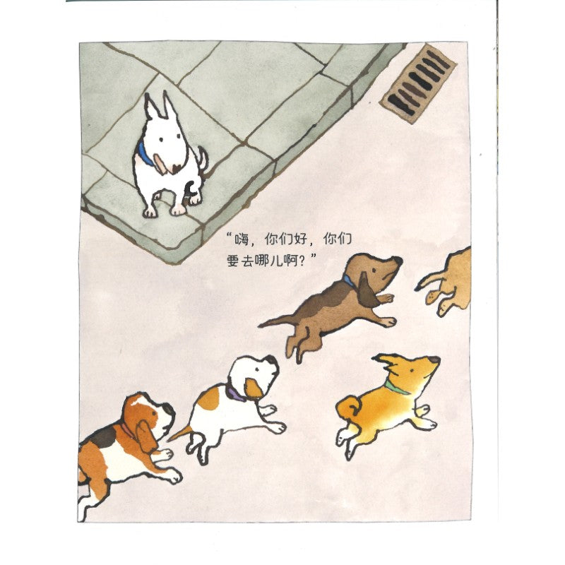 狗狗去上学 School for Puppies 9787558439391 | Singapore Chinese Bookstore | Maha Yu Yi Pte Ltd