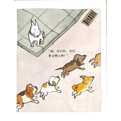 狗狗去上学 School for Puppies 9787558439391 | Singapore Chinese Bookstore | Maha Yu Yi Pte Ltd