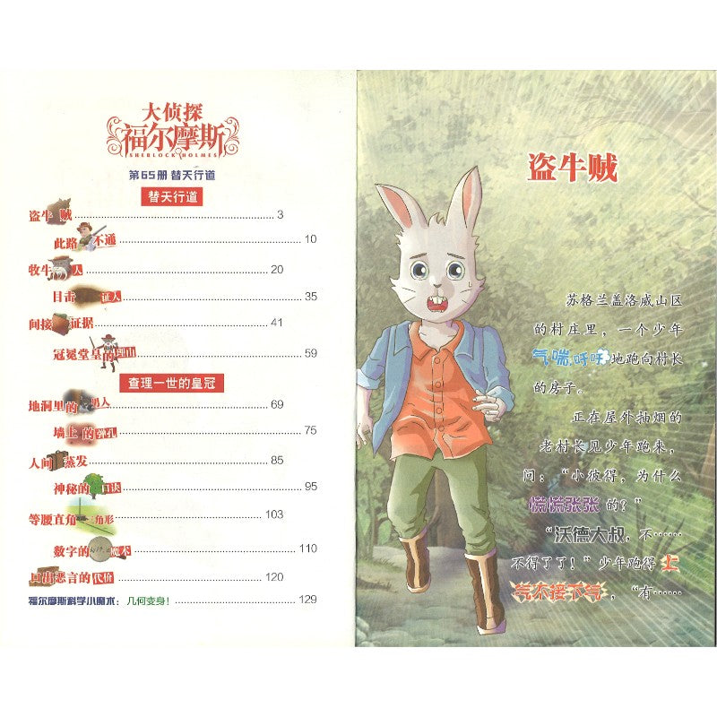 大侦探福尔摩斯.65 替天行道  9787558631726 | Singapore Chinese Bookstore | Maha Yu Yi Pte Ltd