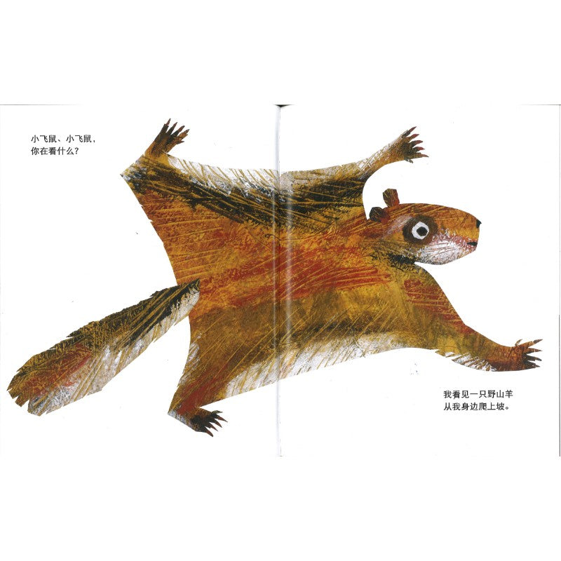 熊宝宝、熊宝宝，你在看什么？ Baby Bear, Baby Bear, What Do You See? 9787570825066 | Singapore Chinese Bookstore | Maha Yu Yi Pte Ltd