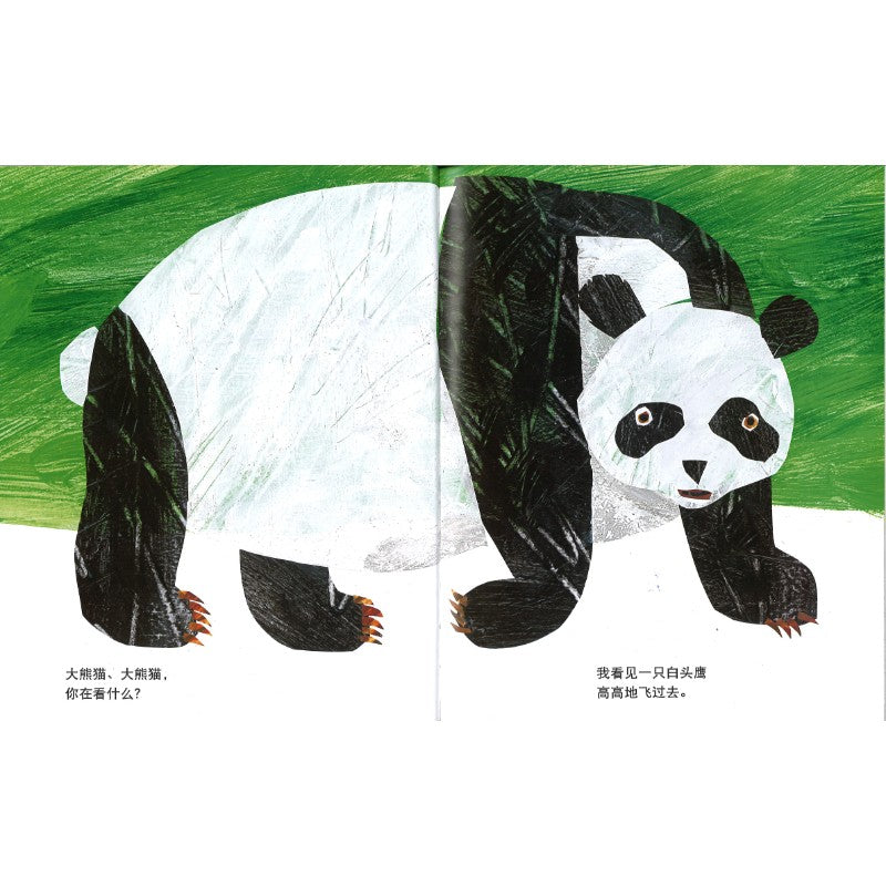 大熊猫、大熊猫，你在看什么？ Panda Bear, Panda Bear, What Do You See? 9787570825073 | Singapore Chinese Bookstore | Maha Yu Yi Pte Ltd
