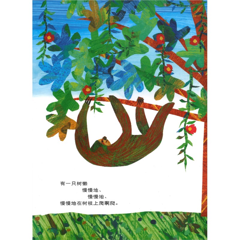 《好慢、好慢、好慢的树懒》