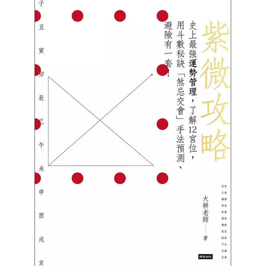 紫薇攻略：史上最强运势管理  9789571376240 | Singapore Chinese Bookstore | Maha Yu Yi Pte Ltd