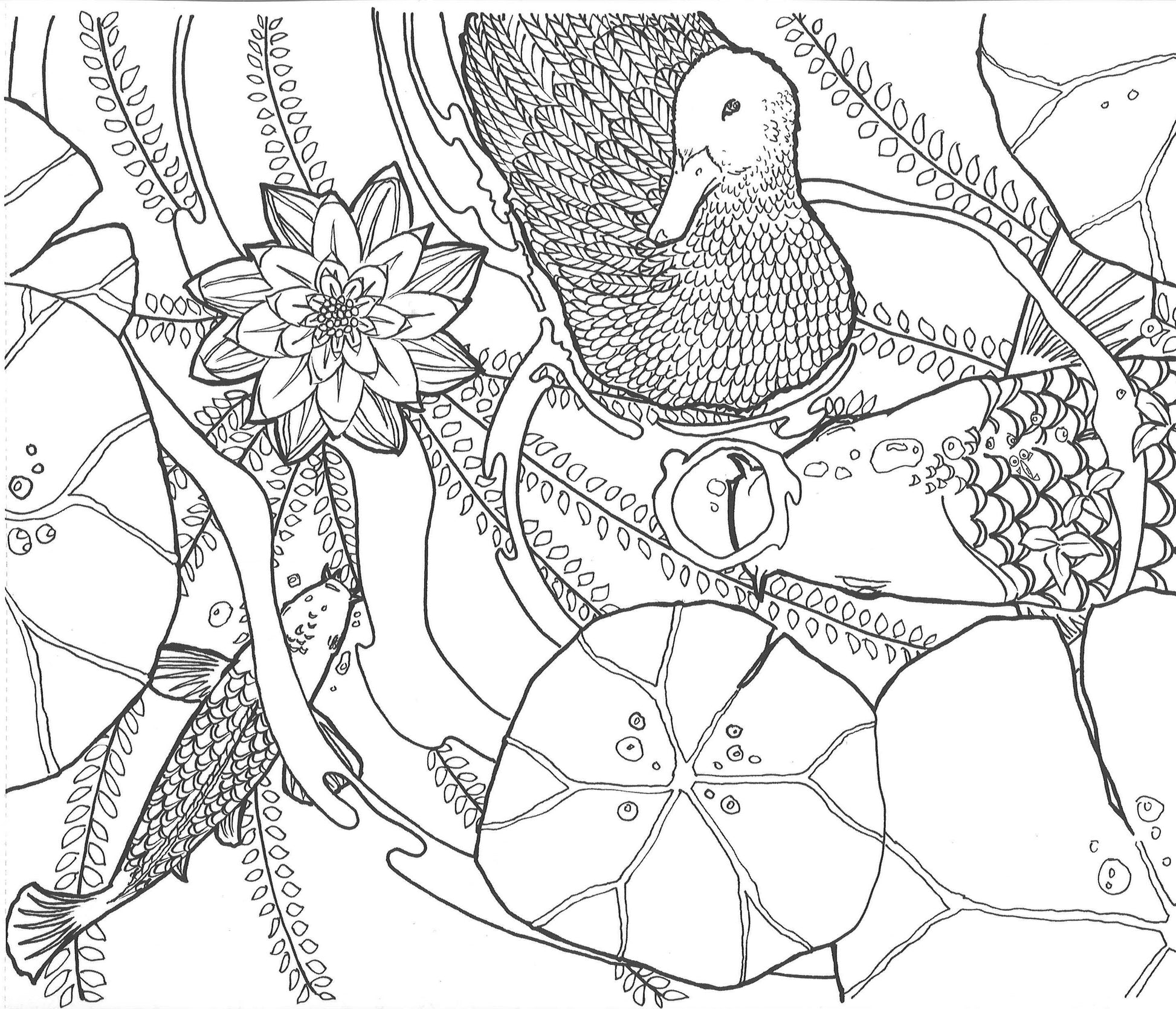 我的小红点.河流历险篇 9789810998523 | Singapore Chinese Bookstore | Maha Yu Yi Pte Ltd