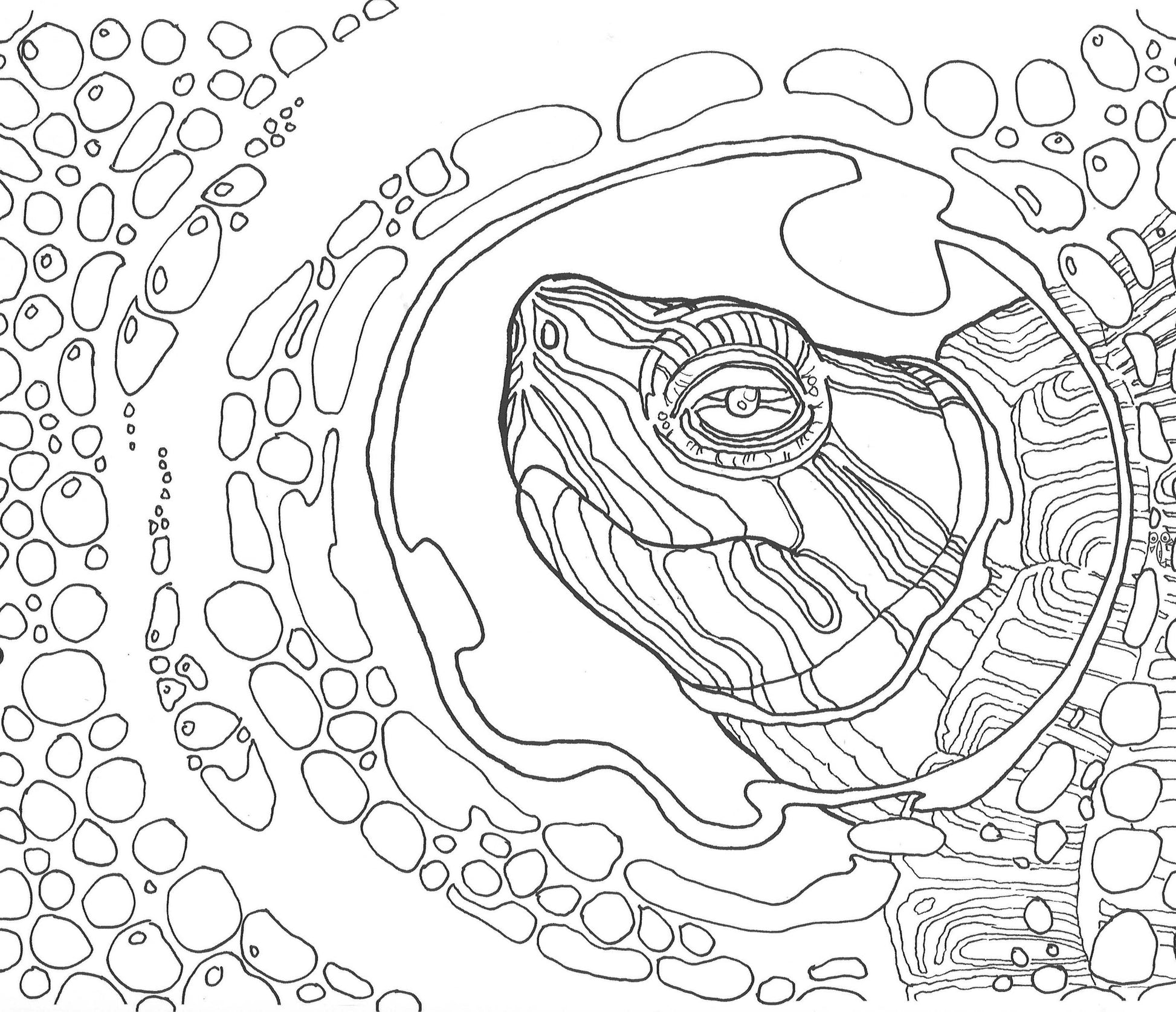 我的小红点.河流历险篇 9789810998523 | Singapore Chinese Bookstore | Maha Yu Yi Pte Ltd