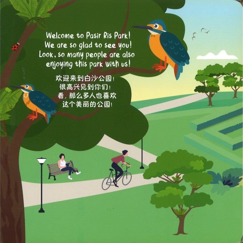 Fly, Oli, Fly 飞吧，小欧欧 9789811841279 | Singapore Chinese Bookstore | Maha Yu Yi Pte Ltd