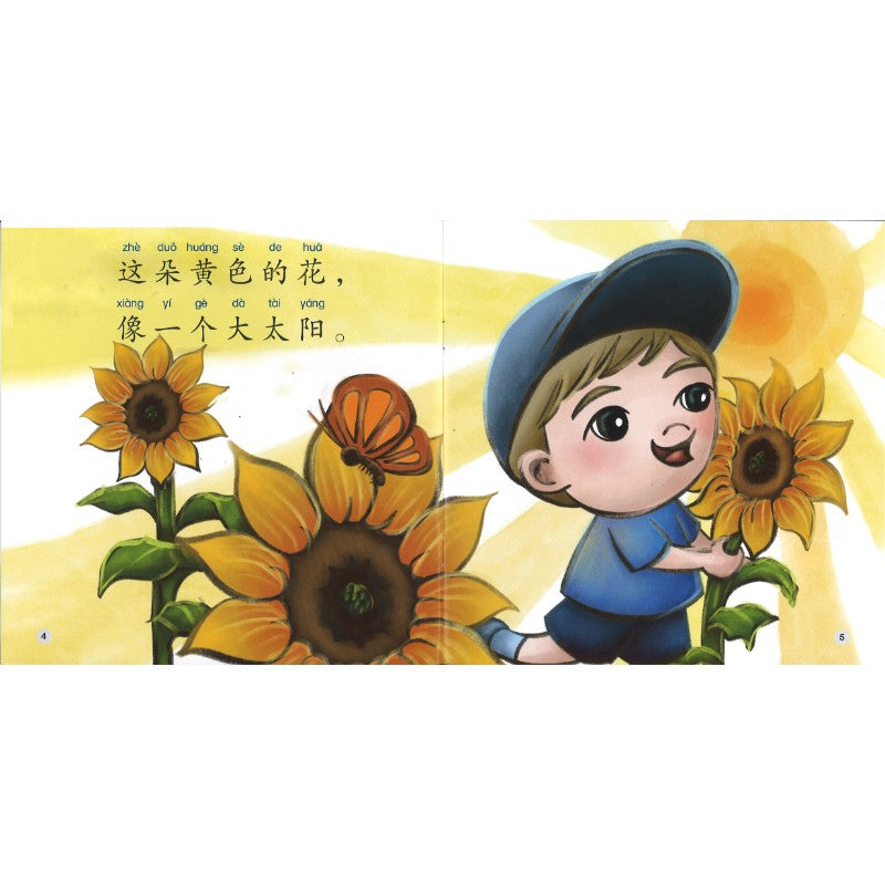 不一样的花（拼音）Different Flowers 9789815200416 | Singapore Chinese Bookstore | Maha Yu Yi Pte Ltd