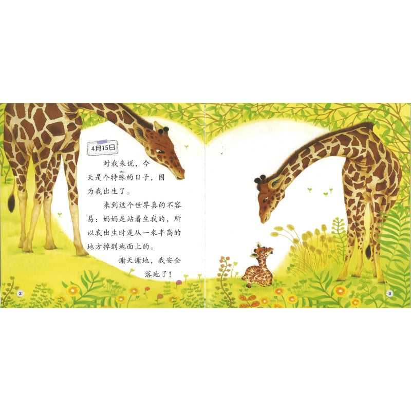 小长颈鹿的日记 The Diary of the Baby Giraffe The Diary of the Baby Giraffe 9789815200881 | Singapore Chinese Bookstore | Maha Yu Yi Pte Ltd