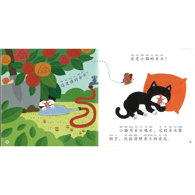 了不起的舌头（拼音）Amazing Tongues 9789815243499 | Singapore Chinese Bookstore | Maha Yu Yi Pte Ltd