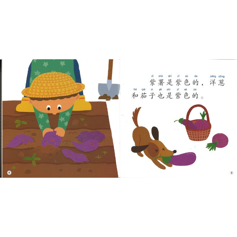 大自然的颜色（拼音）The Colors of Nature 9789815243512 | Singapore Chinese Bookstore | Maha Yu Yi Pte Ltd