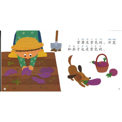 大自然的颜色（拼音）The Colors of Nature 9789815243512 | Singapore Chinese Bookstore | Maha Yu Yi Pte Ltd