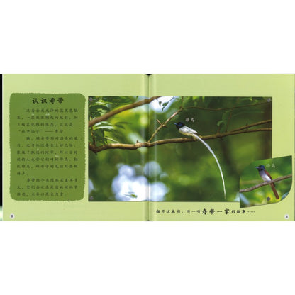 加油！出巢吧 Keep Going! Come out of the Nest 9789815243567 | Singapore Chinese Bookstore | Maha Yu Yi Pte Ltd