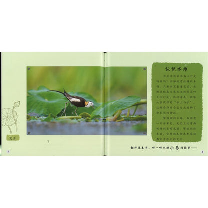 我是超级奶爸 I'm a Super Dad 9789815243574 | Singapore Chinese Bookstore | Maha Yu Yi Pte Ltd