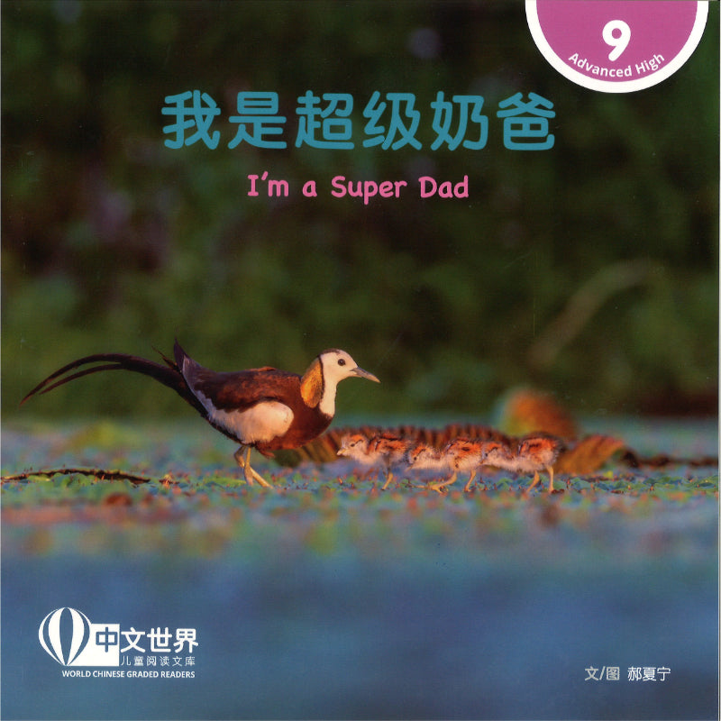 我是超级奶爸 I'm a Super Dad 9789815243574 | Singapore Chinese Bookstore | Maha Yu Yi Pte Ltd