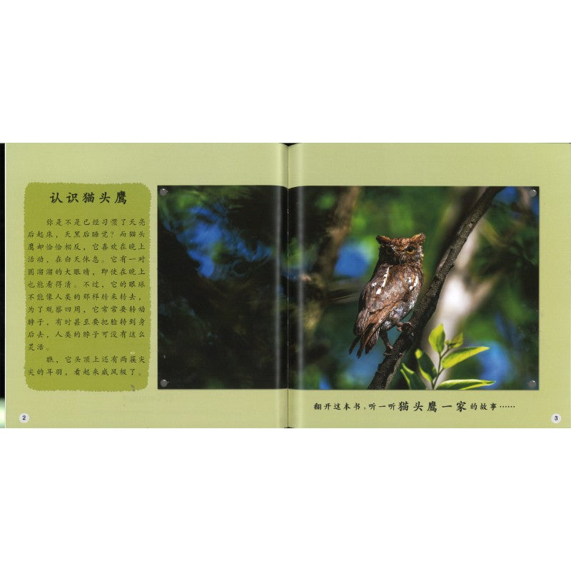 再见了，树洞！Goodbye, Tree Hole! 9789815243581 | Singapore Chinese Bookstore | Maha Yu Yi Pte Ltd