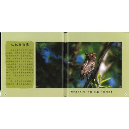 再见了，树洞！Goodbye, Tree Hole! 9789815243581 | Singapore Chinese Bookstore | Maha Yu Yi Pte Ltd