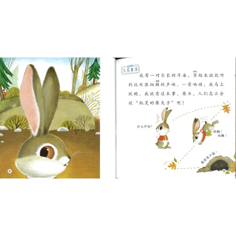 小兔子的日记 The Diary of the Little Bunny 9789815292060 | Singapore Chinese Bookstore | Maha Yu Yi Pte Ltd