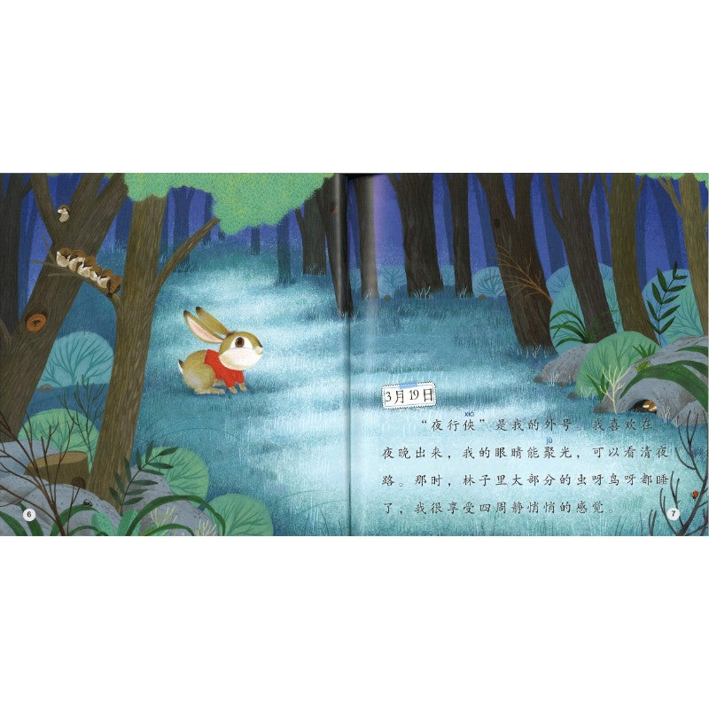 小兔子的日记 The Diary of the Little Bunny 9789815292060 | Singapore Chinese Bookstore | Maha Yu Yi Pte Ltd