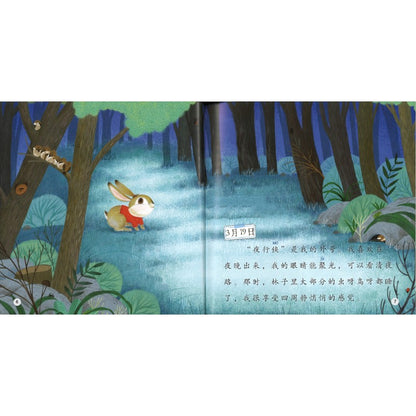 小兔子的日记 The Diary of the Little Bunny 9789815292060 | Singapore Chinese Bookstore | Maha Yu Yi Pte Ltd