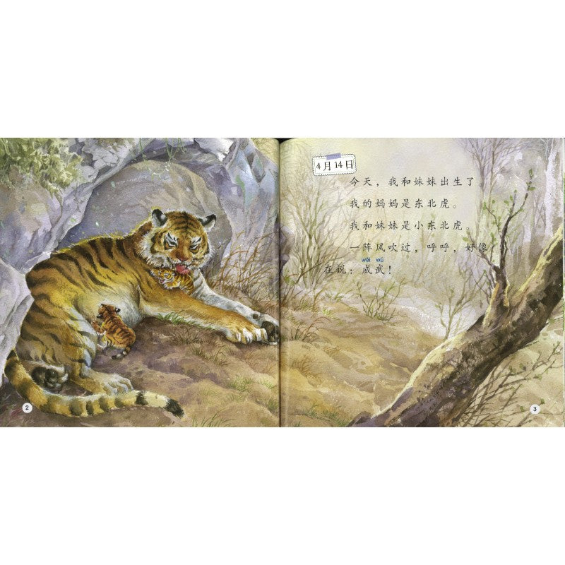 小老虎的日记 The Diary of the Little Tiger 9789815292077 | Singapore Chinese Bookstore | Maha Yu Yi Pte Ltd