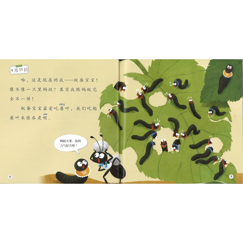 蚕的日记 The Diary of the Silkworm 9789815292091 | Singapore Chinese Bookstore | Maha Yu Yi Pte Ltd