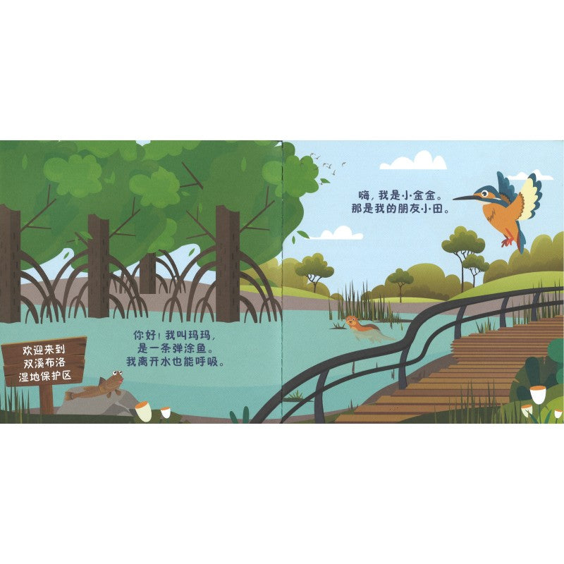 小夏的美妙世界 Stari’s Wonderful World 9789819432714 | Singapore Chinese Bookstore | Maha Yu Yi Pte Ltd