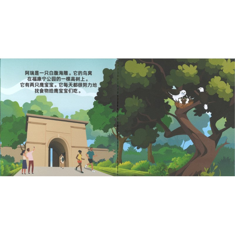 Ari the Angry Sea Eagle  生气的海雕阿瑞 9789819437740 | Singapore Chinese Bookstore | Maha Yu Yi Pte Ltd