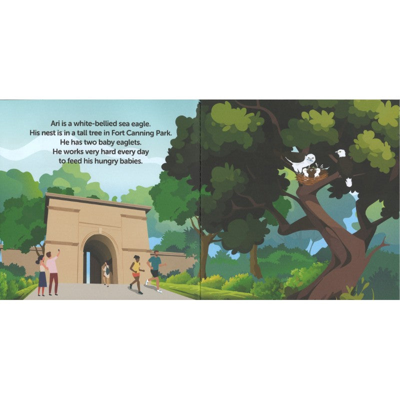 Ari the Angry Sea Eagle  生气的海雕阿瑞 9789819437740 | Singapore Chinese Bookstore | Maha Yu Yi Pte Ltd