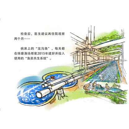 龙沟鱼传奇 9789819451166 | Singapore Chinese Bookstore | Maha Yu Yi Pte Ltd