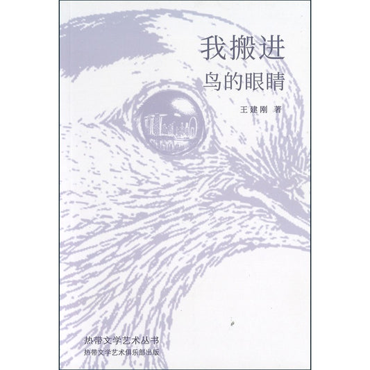 我搬进鸟的眼睛 9789819459636 | Singapore Chinese Bookstore | Maha Yu Yi Pte Ltd