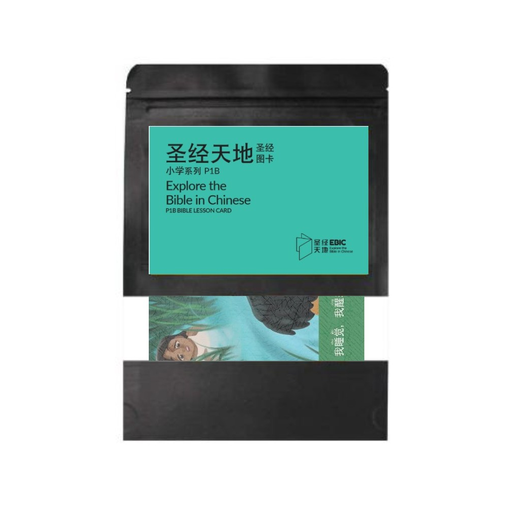 圣经天地小学系列P1B圣经图卡 P1B Bible Lesson Card  9789811748141 | Singapore Chinese Bookstore | Maha Yu Yi Pte Ltd