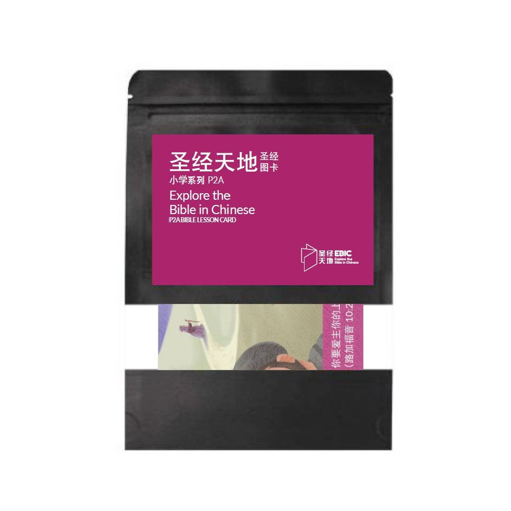 圣经天地小学系列P2A圣经图卡 P2A Bible Lesson Card  9789811748189 | Singapore Chinese Bookstore | Maha Yu Yi Pte Ltd