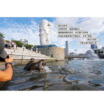 从童年到城市森林：我和《野邻居》的故事