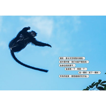 从童年到城市森林：我和《野邻居》的故事