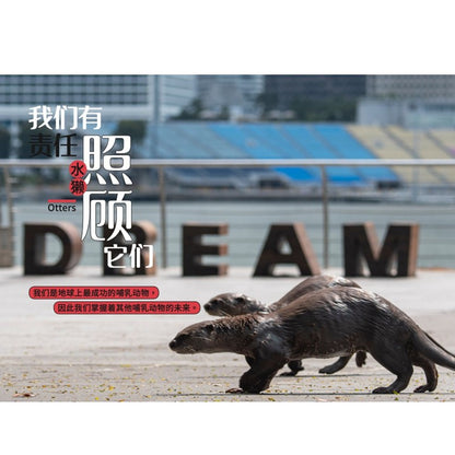 从童年到城市森林：我和《野邻居》的故事