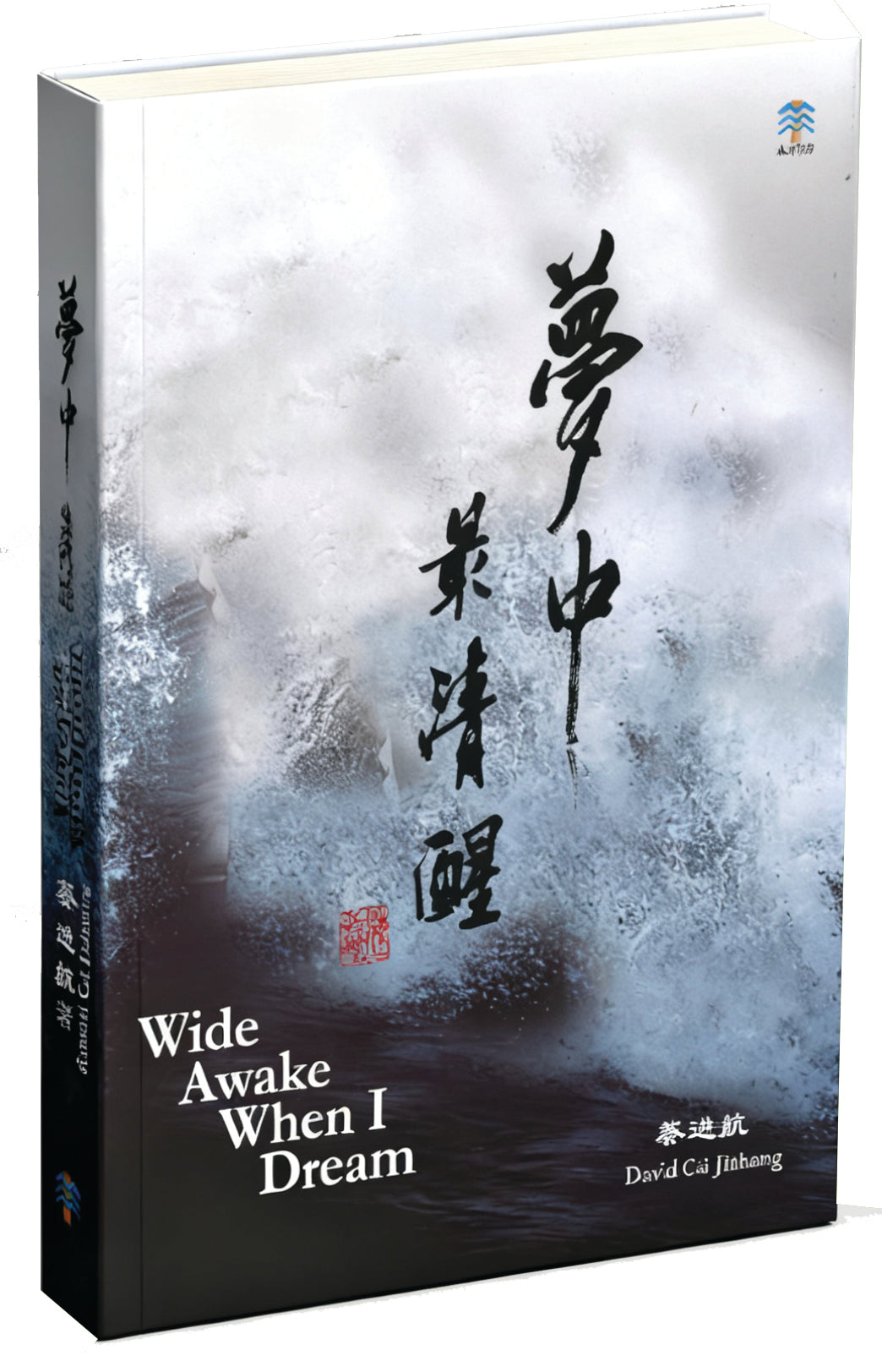 梦中最清醒 9789819435951 | Singapore Chinese Bookstore | Maha Yu Yi Pte Ltd