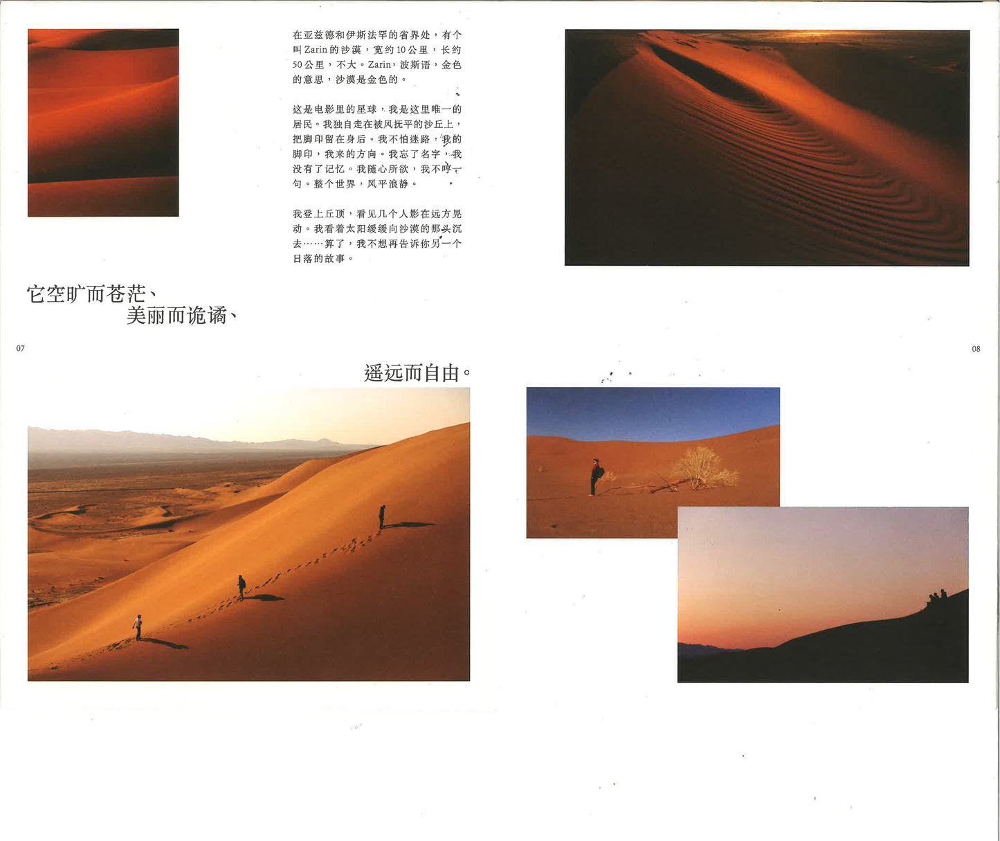 谁在缝隙里种光