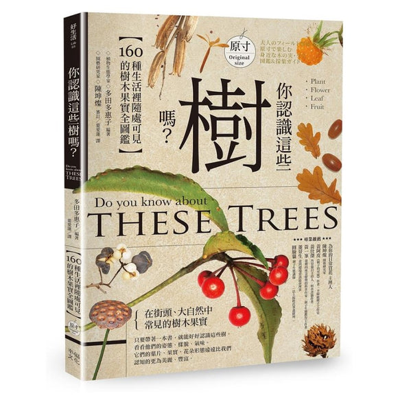 你认识这些树吗？：160种生活裡随处可见的树木果实全图鑑 9786267046951 | Singapore Chinese Bookstore | Maha Yu Yi Pte Ltd
